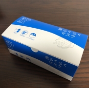 Disposable protective mask (non-medical)